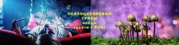 jwh Ельня