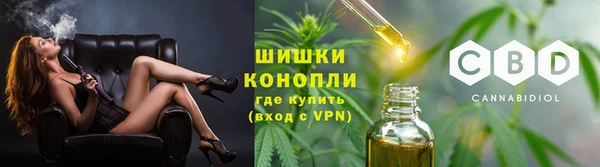 мет Елабуга