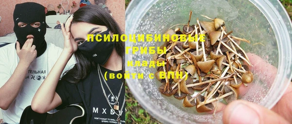 мет Елабуга