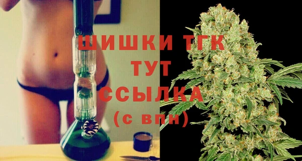 мет Елабуга