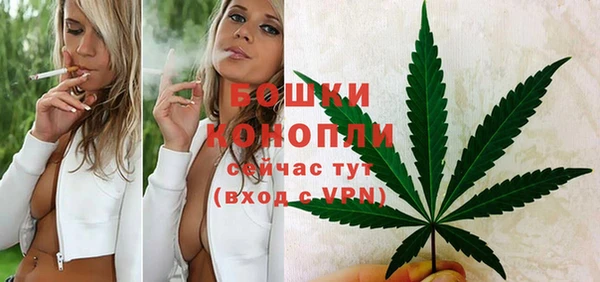 jwh Ельня